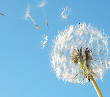 �����ϸ硤(�й�)���ֲ��ٷ���վ