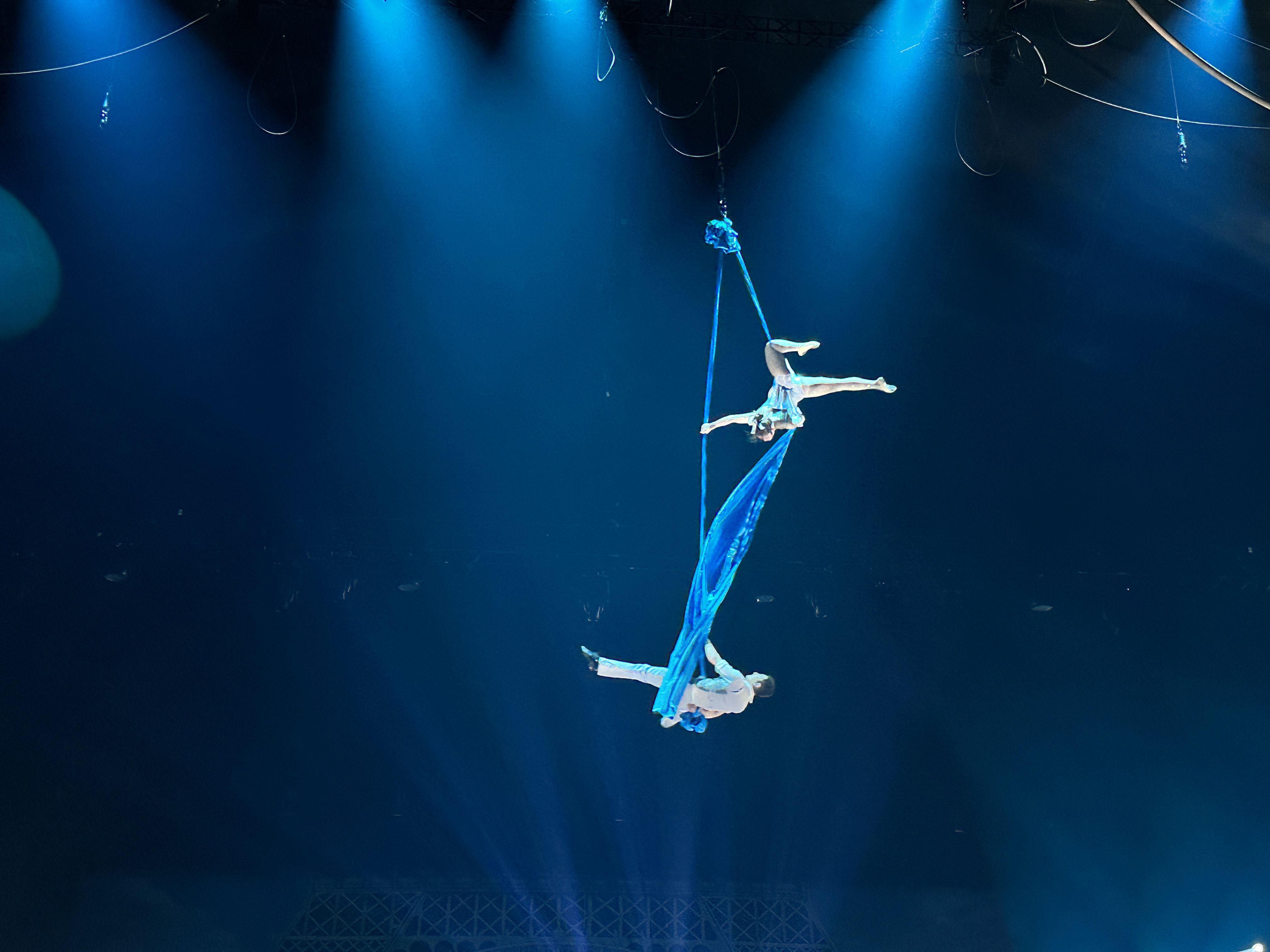 �����ϸ硤(�й�)���ֲ��ٷ���վ